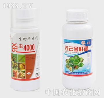 ���r-�K�ƽ�U��