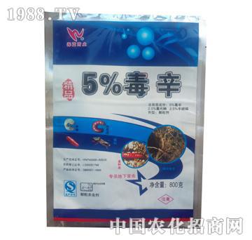 ��-5%����