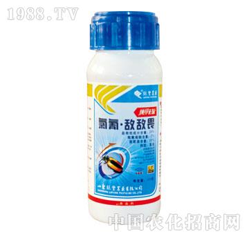 �G�S-���ןo(w��)ۙ-���蔳��η