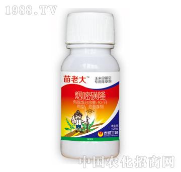 40/�����׻�¡-���ϴ�-̩�