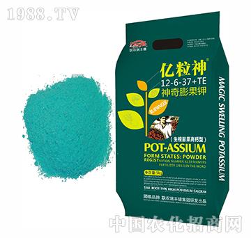 �|��������������}��12-6-37+TE-�����r��