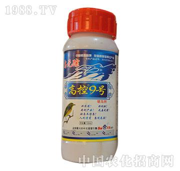 �߿�9̖(h��o)-�����r(n��ng)��