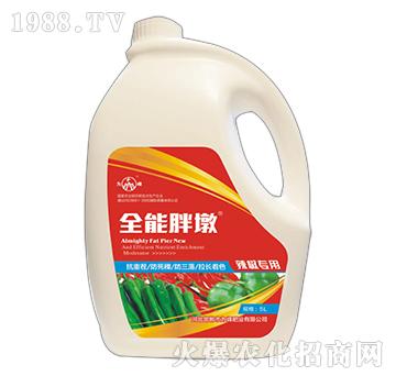 ȫ���ֶ�-��������-���