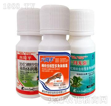 20�|����x(ch��ng)���Ͷ���w����-���ܰ�+���ܰ�+һ�o(w��)�x(ch��ng)-�P���