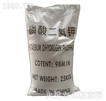 ��������-ǧ픻���