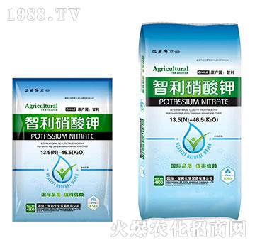 ���������-�������Q