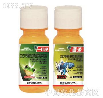 20�|PIB����x���Ͷ���w����-һ��-���_����