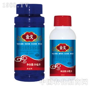 20�|PIB/��������x(ch��ng)���Ͷ���w����-���-���{(l��n)