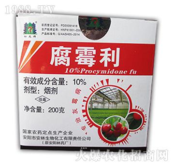 10%��ù��-����