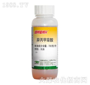 �����ײݰ�-�G���-�G��