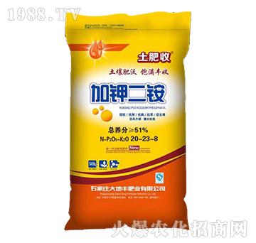 ��⛶��@20-23-8-����S