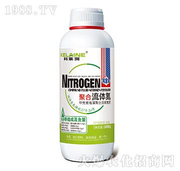 �ۺ����w��-���R��-�W���r(n��ng)�I(y��)