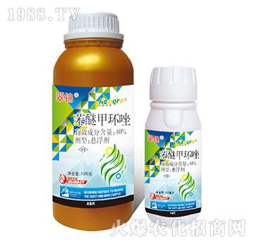 40%���Ѽ׭h(hu��n)��-���\-���¿��r(n��ng)