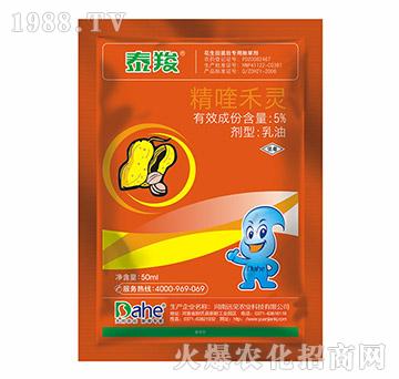 5%��୺��`-̩��-�hҊ�r�I(y��)