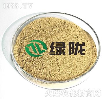 �����ѿ�ߗU��-�G�]����