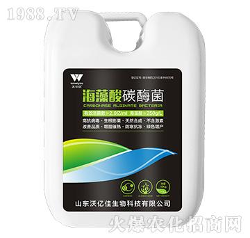 ������̼ø��-�֠���(y��u)