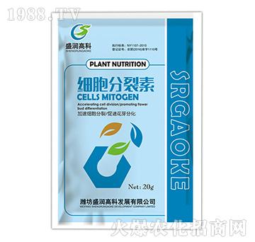 ��(x��)��������-ʢ���߿�