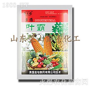 �~��-��ɽ���S