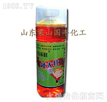 �����-��ɽ��(gu��)�S