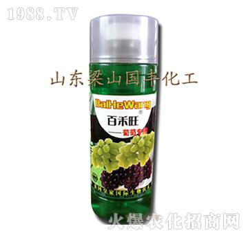 ���ь�(zhu��n)���~���-��ɽ��(gu��)�S