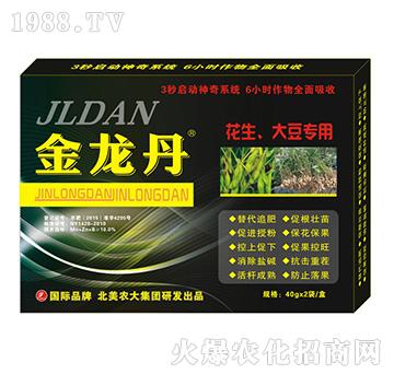 ������-�������󶹌�(zhu��n)��-�����r(n��ng)��