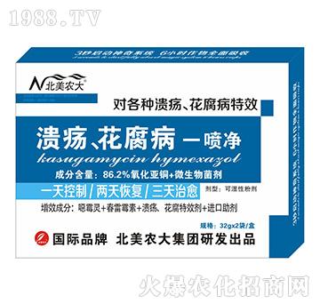 ������������һ����-�����r(n��ng)��