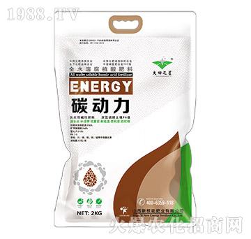 ȫˮ�ܸ�ֲ�����-̼����-����֮��-�º���