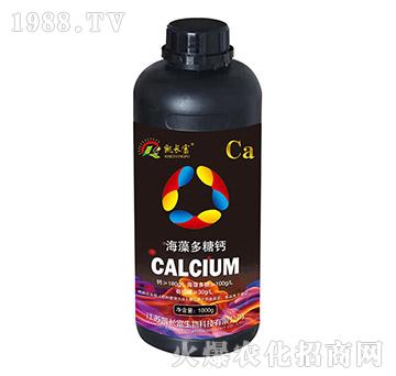 ��������}-�P�L(zh��ng)��