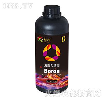 ��������𣨺ڣ�-�P�L(zh��ng)��