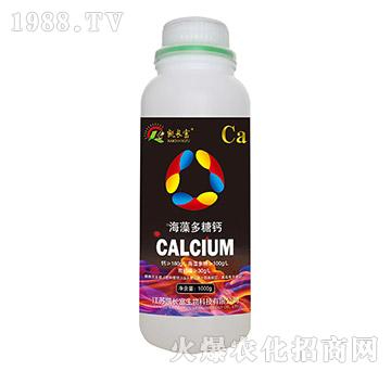 ��������}���ף�-�P�L(zh��ng)��