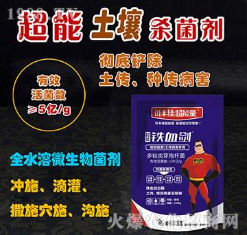 ����������������������-�FѪ��-�~�S�ѳ�����