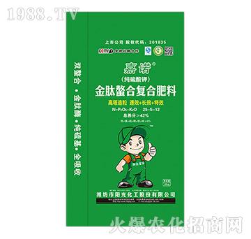 �������Ϗ�(f��)�Ϸ���25-5-12-���Z-ꖹ⻯��