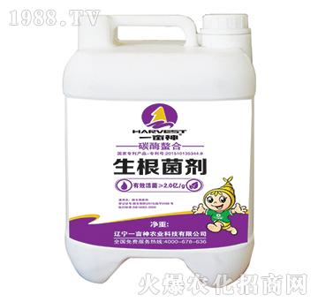 ̼ø������������-һ����