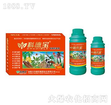 �в�ˎ���àI�B(y��ng)���a(ch��n)�{(di��o)�턩-�Ƶ�