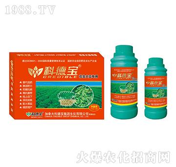 �����󶹌��àI�B(y��ng)���a(ch��n)�{(di��o)�턩-�Ƶ�