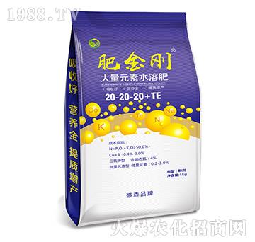 ����Ԫ��ˮ�ܷ�20-20-20+TE-�ʽ���-��ɭ�r(n��ng)��