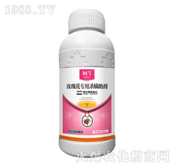 õ�廨��(zhu��n)�Ú�������-����-�����r(n��ng)