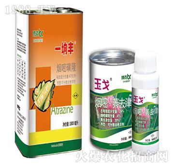 24%���ס�ݬȥ��-���˰ل�