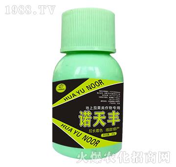 �����ѹ�������-�Z���S-�Z��