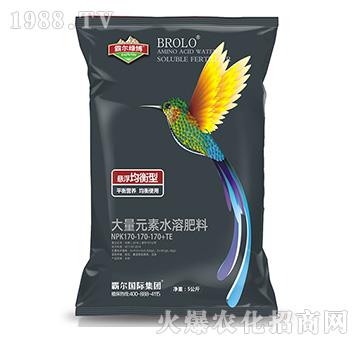 �Ҹ������ʹ���Ԫ��ˮ�ܷ���NPK170-170-170+TE-�Ԡ����H