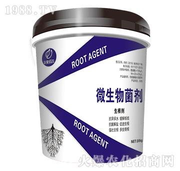 ΢�������-������-�Z��