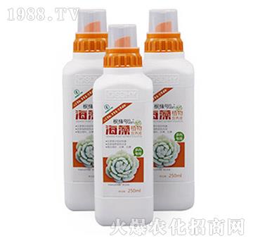 ����ֲ��I(y��ng)�B(y��ng)Һ-���⌣����