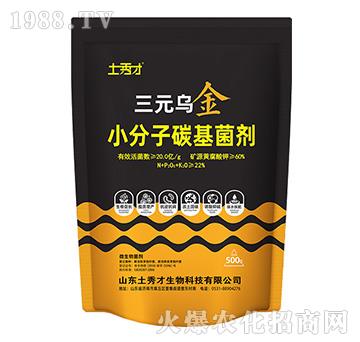 С����̼������-��Ԫ����-�����