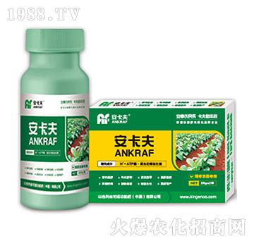 ���ݲ�ɣ�����~���-������