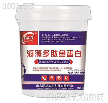 ��������~(y��)����-���S��-��(r��n)���r(n��ng)�I(y��)