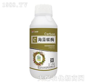 ����̼ø-���_��