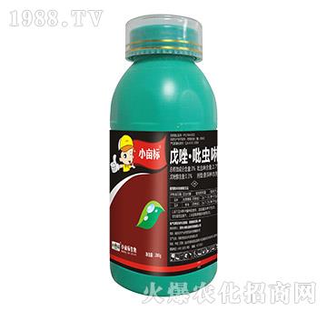 3%�������x��-С����