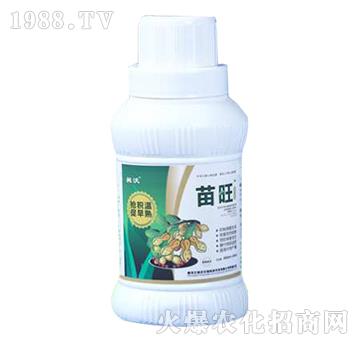 �����󶹌����~���-����-��������