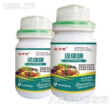 ���w��-���˹����r��