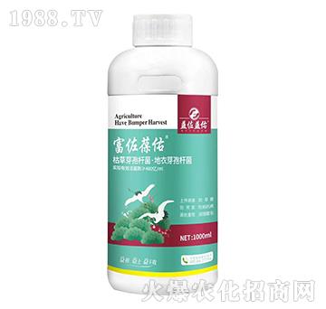 �ݲݡ�����ѿ�ߗU��-��������-��������